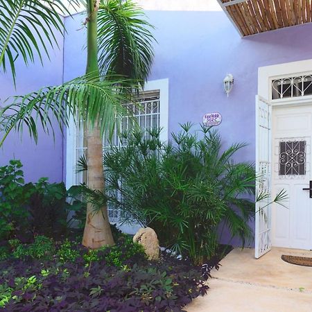 Casa Violeta Mérida Exterior foto