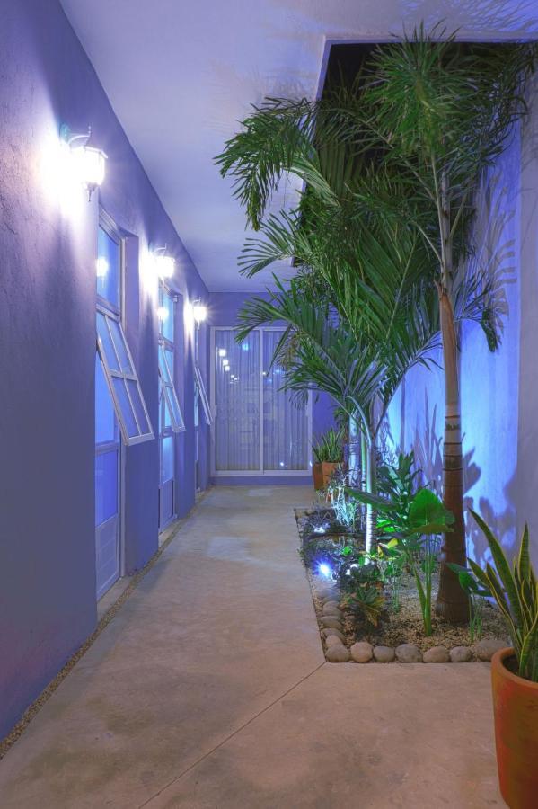 Casa Violeta Mérida Exterior foto